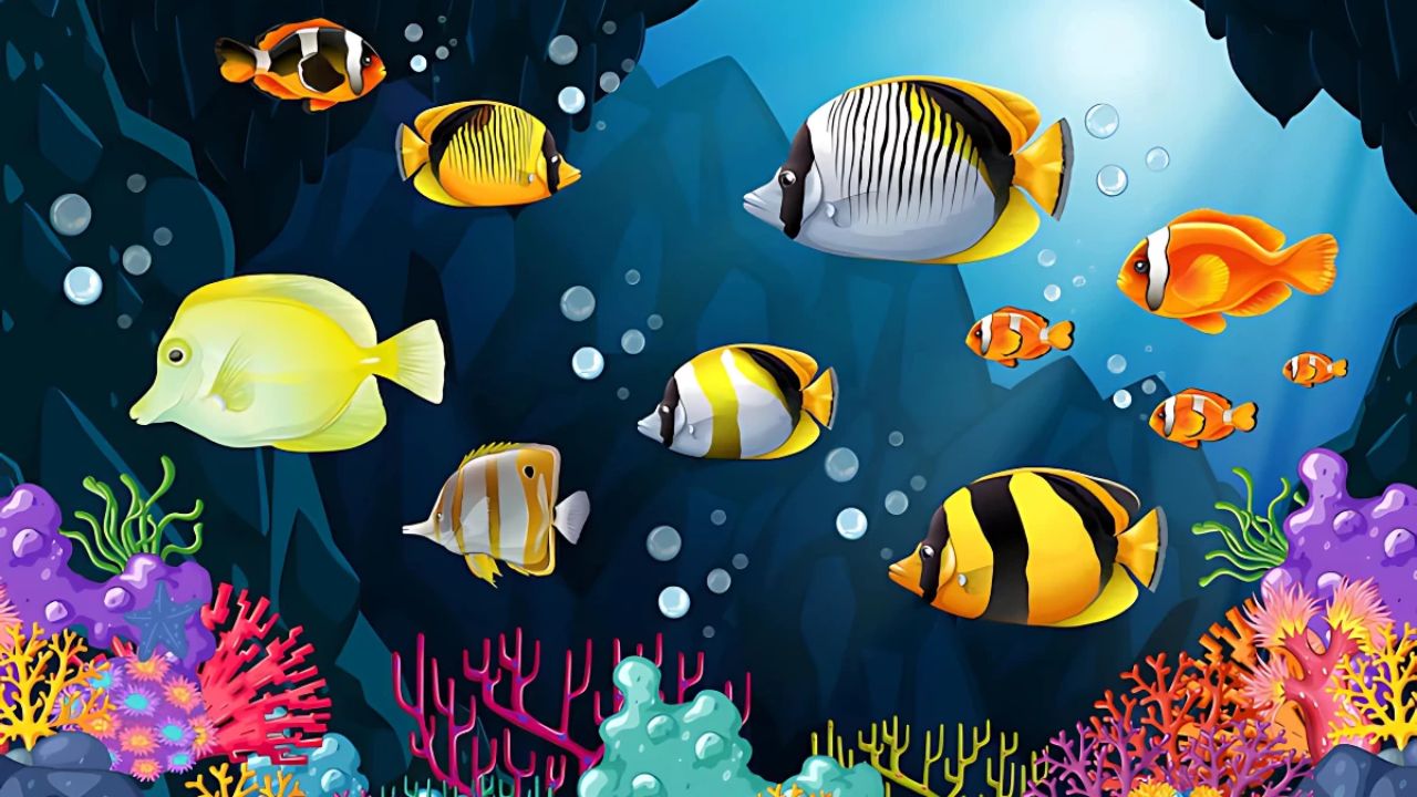 Optical Illusion: Only those with sharp eyesight can spot the hidden starfish in 7 seconds