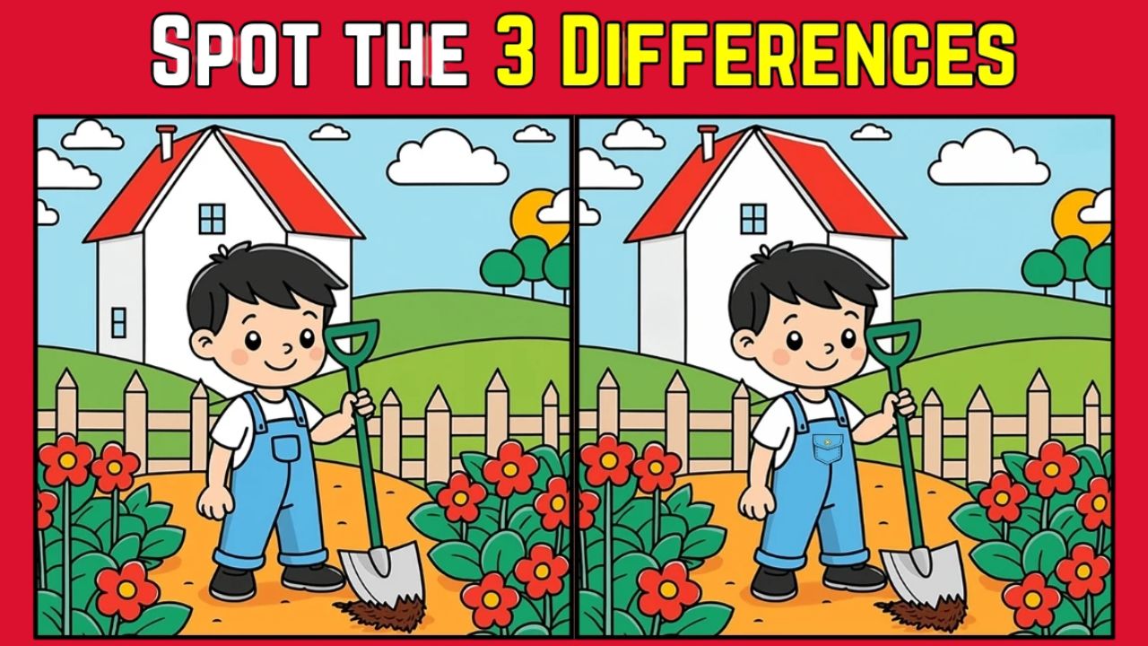 Spot the Difference: Within 9 Seconds Spot The 3 Differences in this Boy Doing Gardening Image